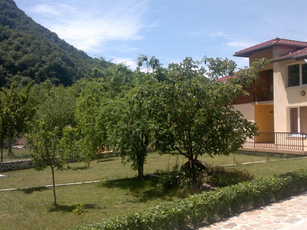 Villa Nanevi Teteven Exteriér fotografie
