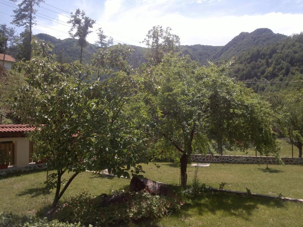 Villa Nanevi Teteven Exteriér fotografie