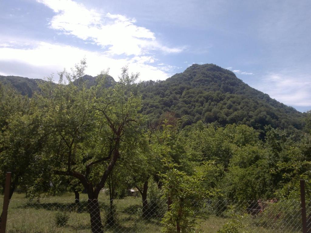 Villa Nanevi Teteven Exteriér fotografie