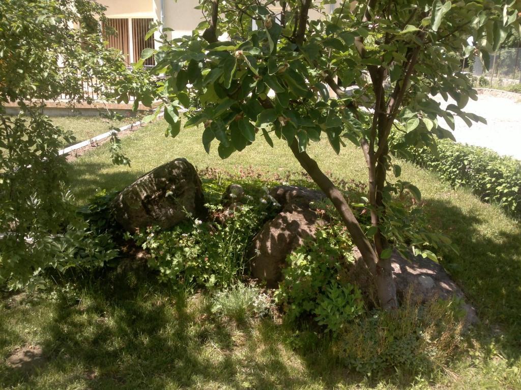 Villa Nanevi Teteven Exteriér fotografie
